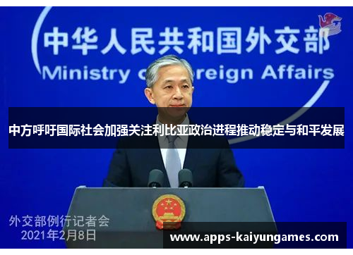 中方呼吁国际社会加强关注利比亚政治进程推动稳定与和平发展 中方呼吁国际社会加强关注利比亚政治进程推动稳定与和平发展
